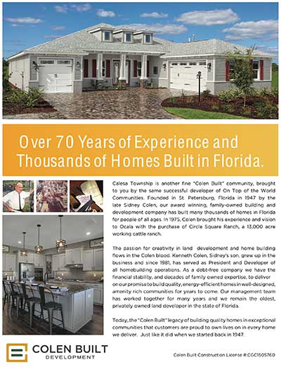 Calesa Township Builder Story Colen Built Development