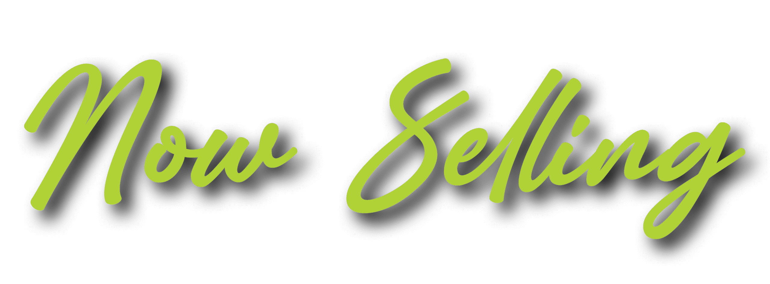 Don Jose Gallego Elementary School, image size:2560x947